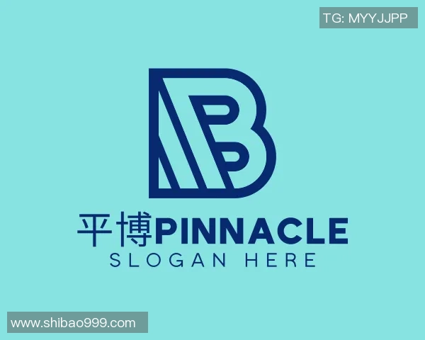 BLG边路渗透策略分析及其在CSGO比赛中的成败得失探讨