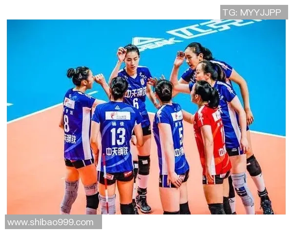 上海排球队战术实力强劲荣登全国排球战术排行榜第七位