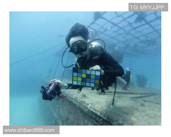 上海极限运动队实力深度解析与对比分析